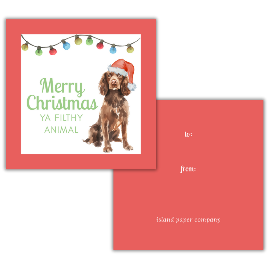 Boykin Spaniel Christmas Gift Tag
